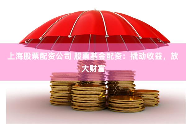 上海股票配资公司 股票基金配资：撬动收益，放大财富