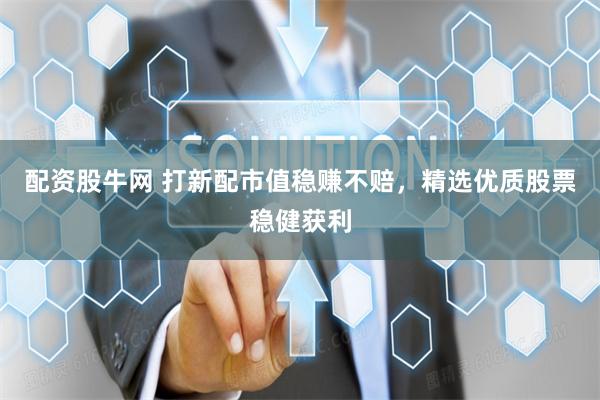 配资股牛网 打新配市值稳赚不赔,精选优质股票稳健获利